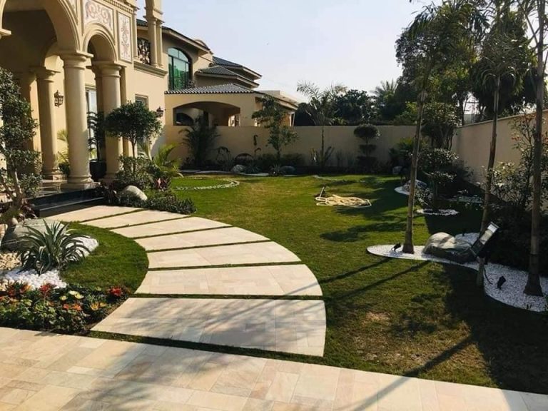 WhatsApp Image 2025-07-21 at 8.36.51 PM